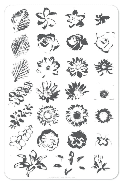CJS-LC-16 Full On Floral