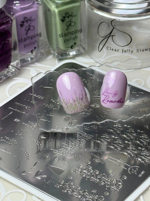 CJS-397 Lavender Groove