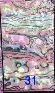 Abalone #31 - Ongles Elaine Lemay
