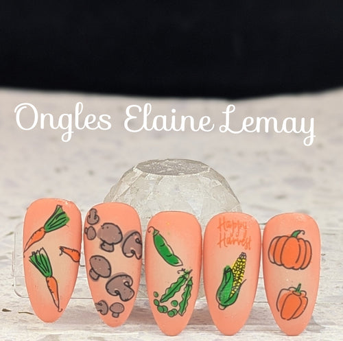 CJS-170 Happy Harvest - Ongles Elaine Lemay