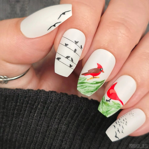 CJS-LC-103 Talk Birdy To Me - Ongles Elaine Lemay