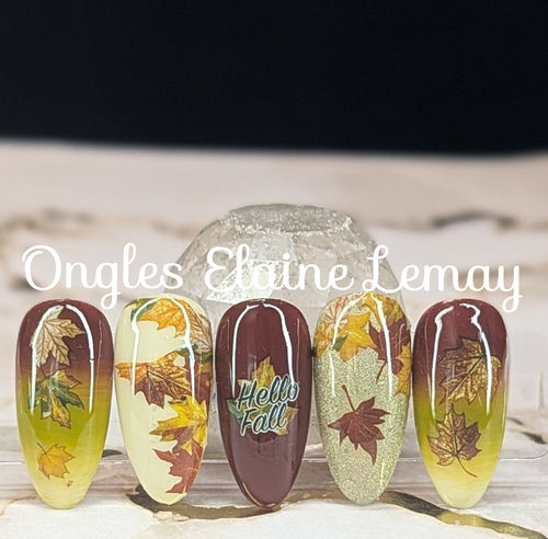 Collant F1162 - Ongles Elaine Lemay