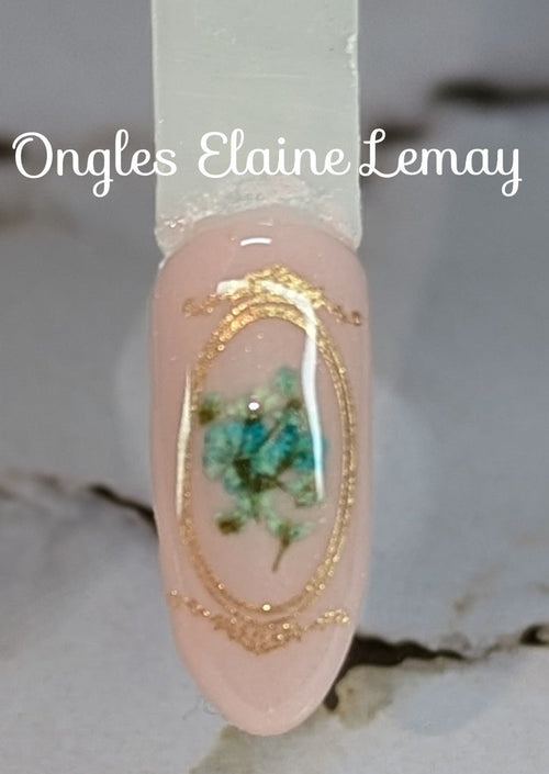 Fleurs séchées mixtes - Ongles Elaine Lemay
