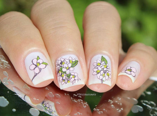 CJS-LC-69 Sakura - Ongles Elaine Lemay