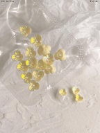 Fleurs 3D (paquet de 20) - Ongles Elaine Lemay