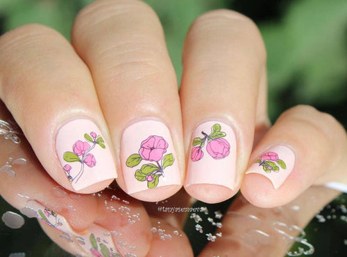 CJS-LC-69 Sakura - Ongles Elaine Lemay