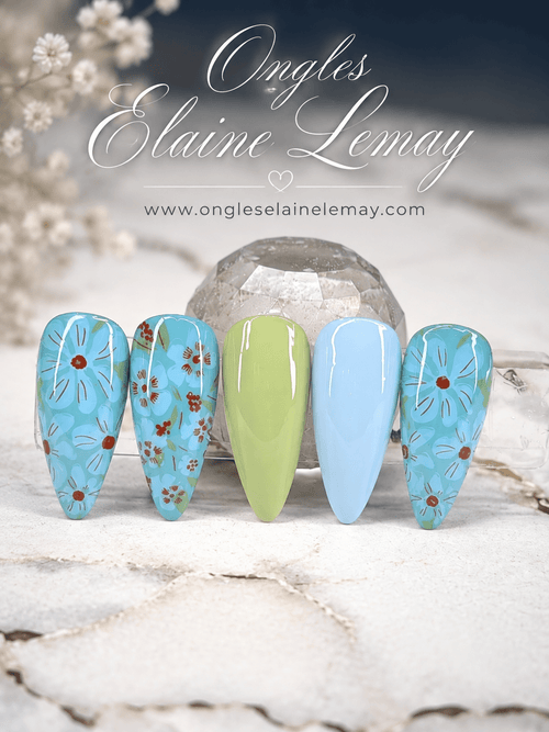 Look kit 19 août option 1 - Ongles Elaine Lemay