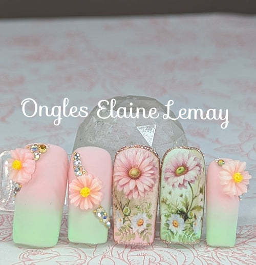 Water decals 12 motifs Marguerite - Ongles Elaine Lemay
