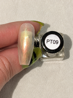 #PT-09vernis à stamping