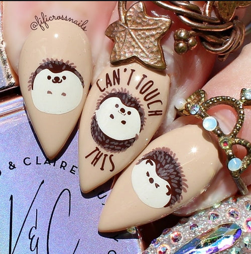 CJS-135 Autumn is Here