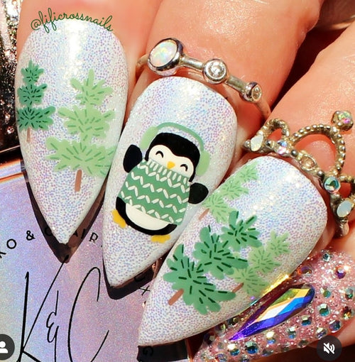 CJS-330 Ice Cap Adventures