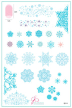 CJS-C-14 Diamonds in ice