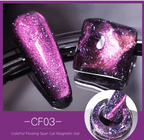 Vernis gel cat eye FLOWING - Ongles Elaine Lemay