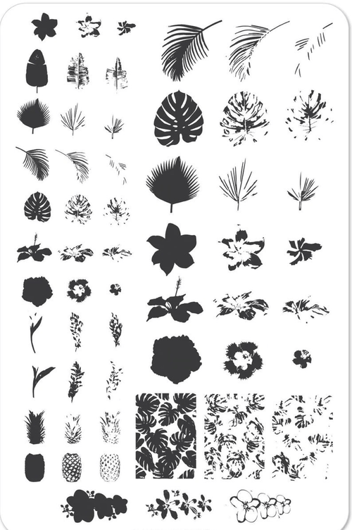 CJS-38 Tropical - Ongles Elaine Lemay