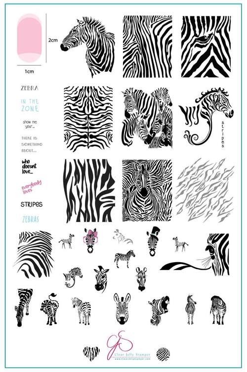 CJS-175 Wild Kingdom Zebra - Ongles Elaine Lemay