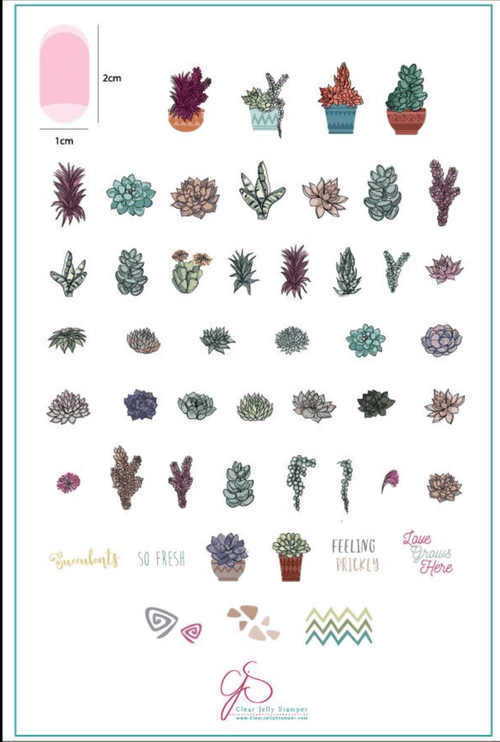 CJS-123 Oh So Succulent - Ongles Elaine Lemay