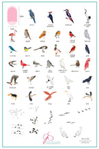CJS-LC-103 Talk Birdy To Me