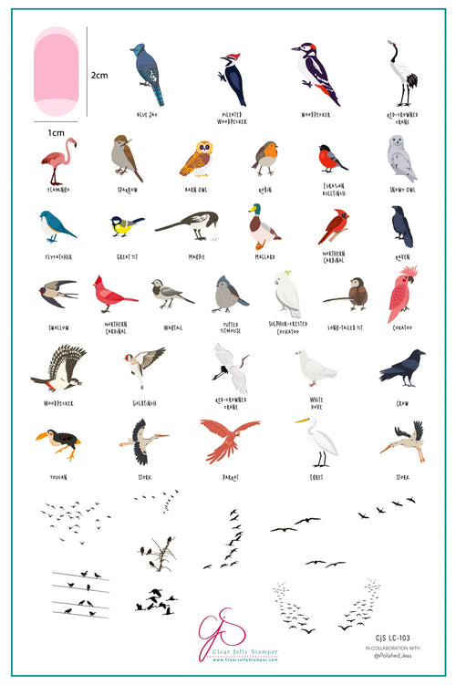 CJS-LC-103 Talk Birdy To Me