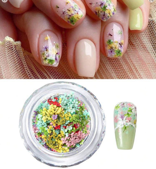 Fleurs séchées mixtes - Ongles Elaine Lemay 