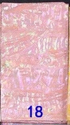 Abalone #18 - Ongles Elaine Lemay 