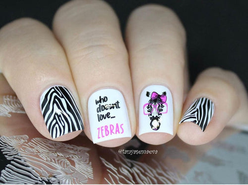 CJS-175 Wild Kingdom Zebra - Ongles Elaine Lemay