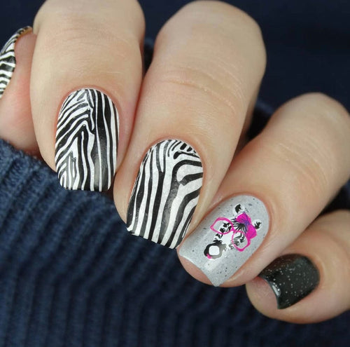 CJS-175 Wild Kingdom Zebra - Ongles Elaine Lemay