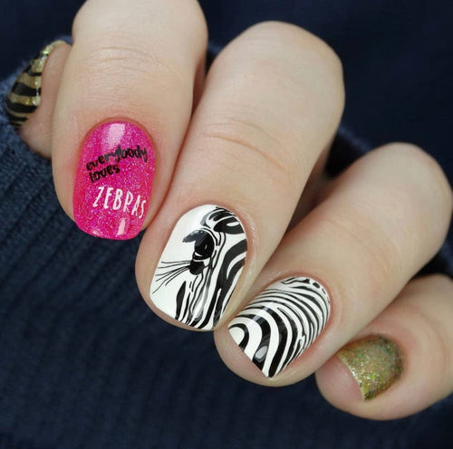 CJS-175 Wild Kingdom Zebra - Ongles Elaine Lemay