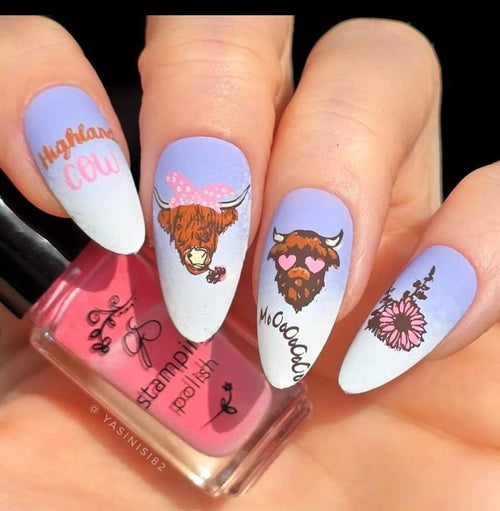 CJS-362 Highland Cow - Ongles Elaine Lemay