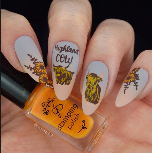 CJS-362 Highland Cow - Ongles Elaine Lemay