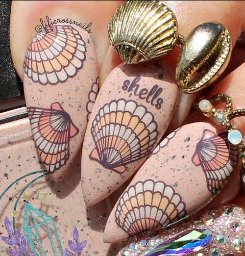 CJS-368 She Sells Seashells - Ongles Elaine Lemay