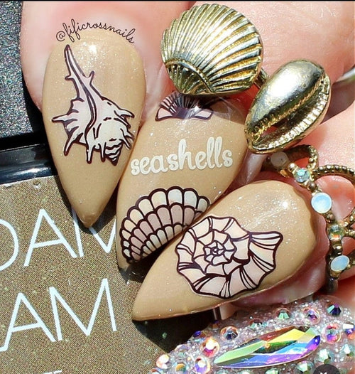 CJS-368 She Sells Seashells - Ongles Elaine Lemay