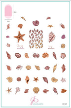CJS-368 She Sells Seashells - Ongles Elaine Lemay