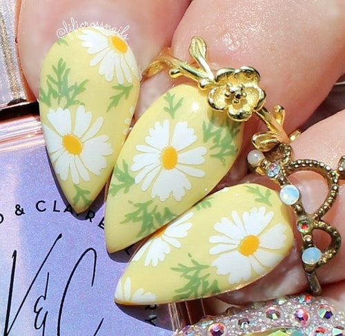 CJS-385 Crazy for Daisies - Ongles Elaine Lemay