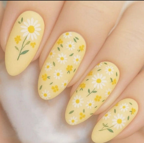 CJS-385 Crazy for Daisies - Ongles Elaine Lemay
