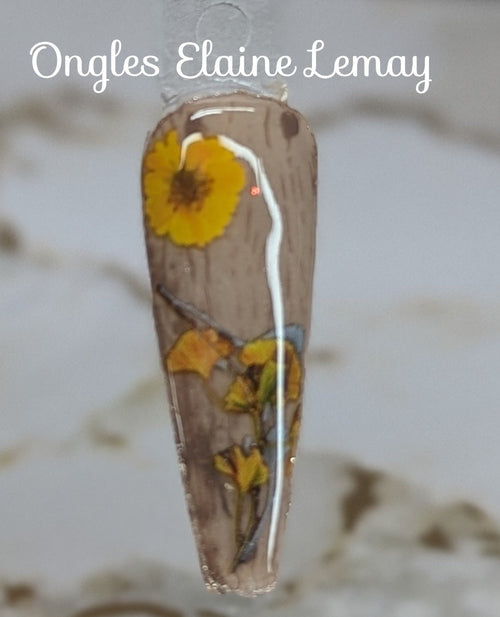 CJS-389 Knotty but nice - Ongles Elaine Lemay