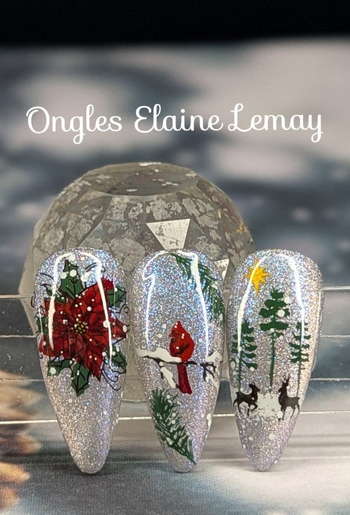 CJS-C-85 Debbie’s Favs - Ongles Elaine Lemay