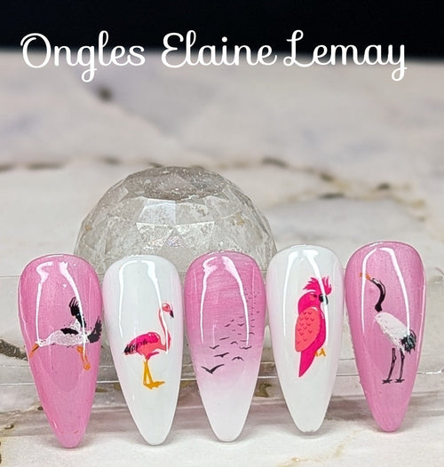 CJS-LC-103 Talk Birdy To Me - Ongles Elaine Lemay