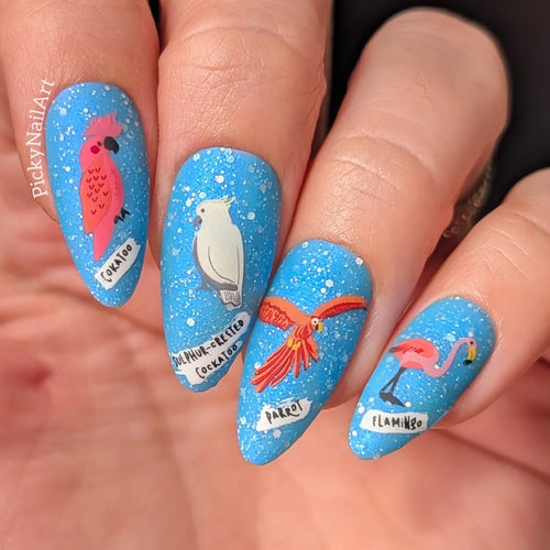 CJS-LC-103 Talk Birdy To Me - Ongles Elaine Lemay