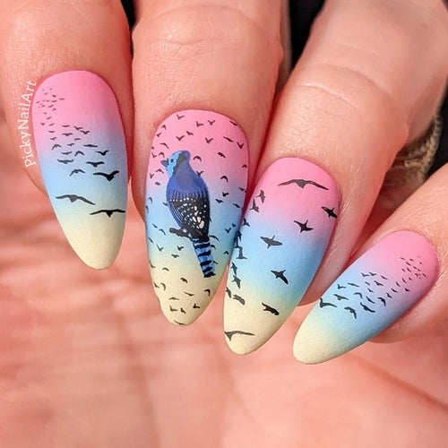 CJS-LC-103 Talk Birdy To Me - Ongles Elaine Lemay