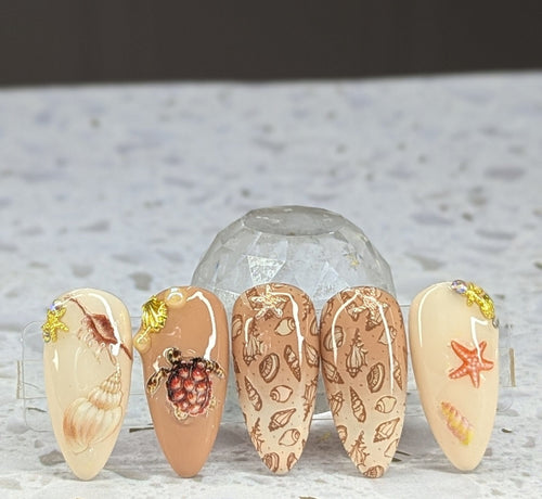 Collant 3D coquillage K316 - Ongles Elaine Lemay