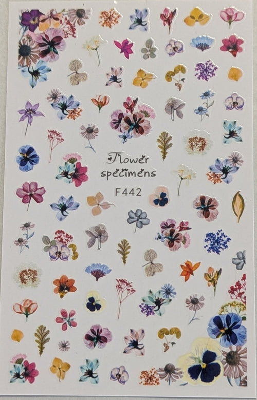 Collant F442 - Ongles Elaine Lemay