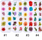 Fleurs sechées - Ongles Elaine Lemay