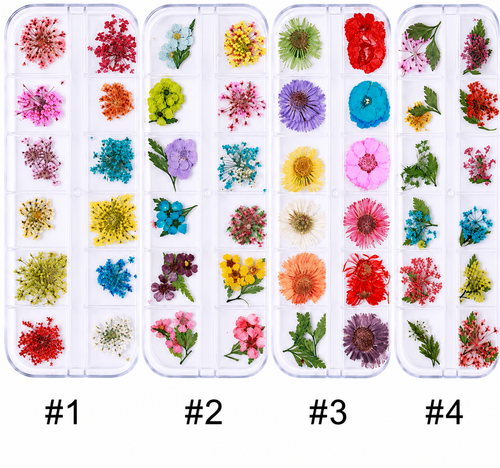 Fleurs sechées - Ongles Elaine Lemay