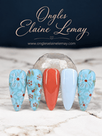 Look kit 19 août option 2 - Ongles Elaine Lemay