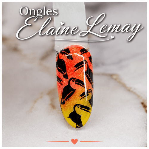 Plaque de stamping Xiu Ya Nails 14 - Ongles Elaine Lemay