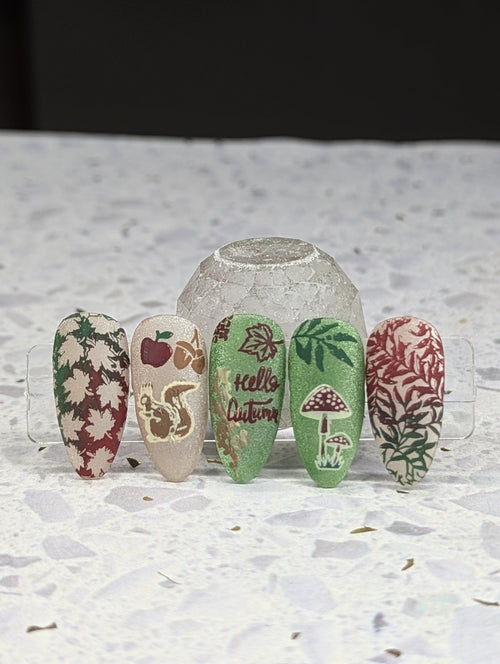 Plaque de stamping XY-DF05 - Ongles Elaine Lemay