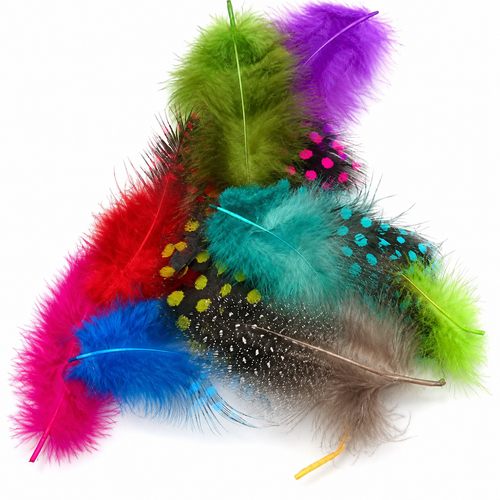 Plumes - Ongles Elaine Lemay
