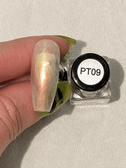 PT-09vernis à stamping - Ongles Elaine Lemay