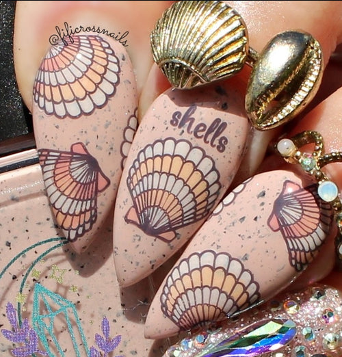 CJS-368 She Sells Seashells