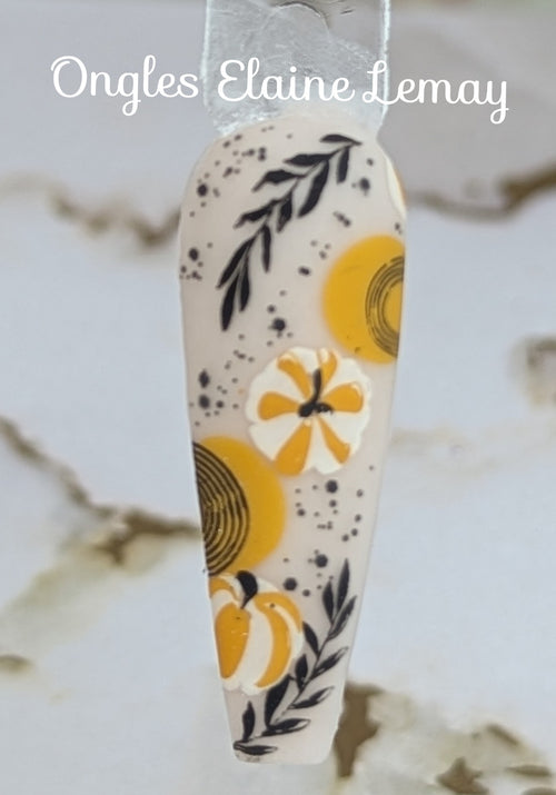 CJS-335 Modern Muse 2
